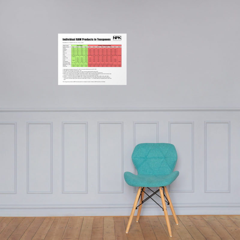 Individual RAW Products in Teaspoons Feeding Chart Poster
