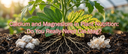 Calcium and Magnesium in Plant Nutrition: Do You Really Need Cal-Mag?
