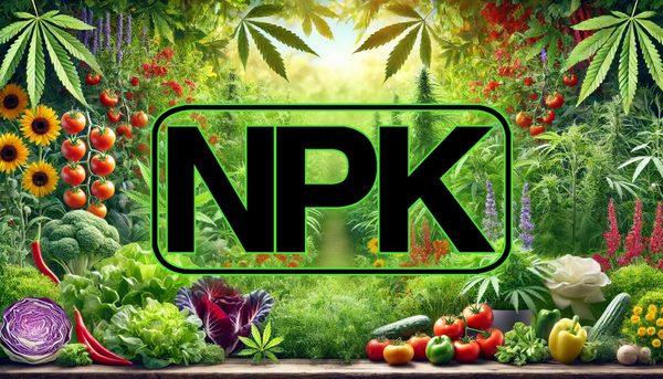 What is NPK? The Elements that Make Plants Grow