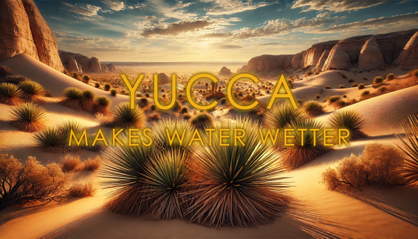 The Yucca Revolution: A Grower’s Best-Kept Secret for Thriving Plants