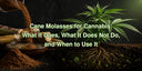 KALIX Cane Molasses soluble powder for cannabis and biologically active growing systems