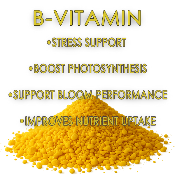 RAW B-Vitamin | 1% Vitamin B1 + 9% Magnesium | Water-Soluble Plant Supplement