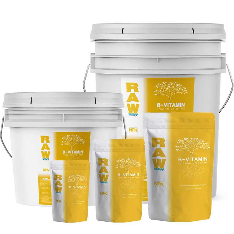 RAW B-Vitamin | 1% Vitamin B1 + 9% Magnesium | Water-Soluble Plant Supplement