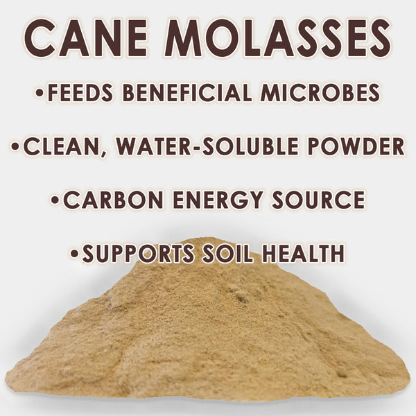 RAW Cane Molasses | Water-Soluble Microbe Food | Concentrated Powder