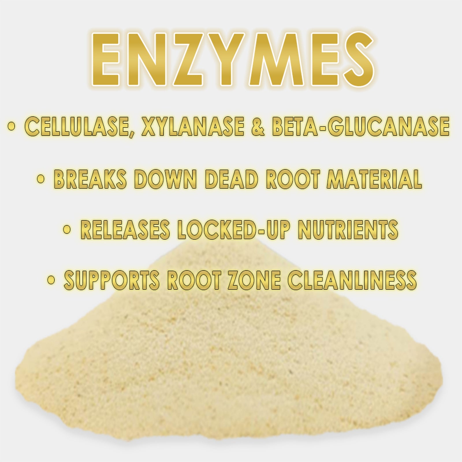 Enzymes_Bullets_1600x.jpg?v=