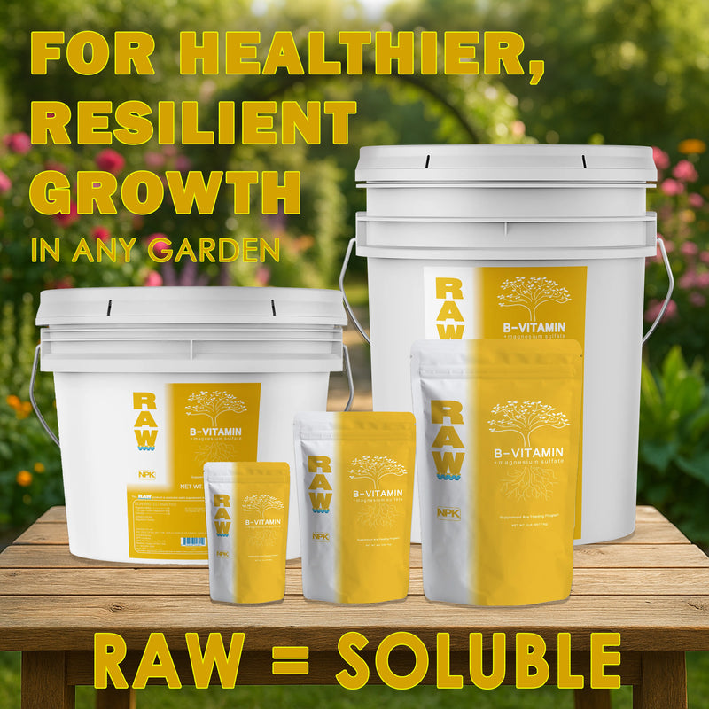 RAW B-Vitamin | 1% Vitamin B1 + 9% Magnesium | Water-Soluble Plant Supplement