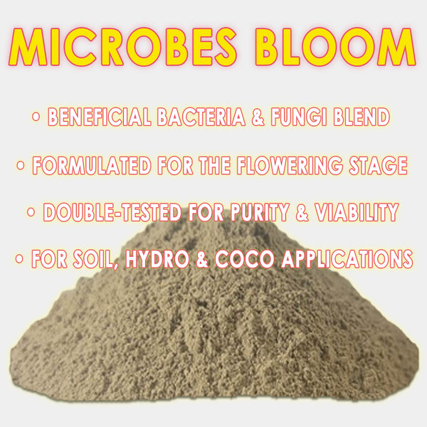RAW Microbes Bloom Stage | Beneficial Bacteria & Fungi | Flower & Fruit Support