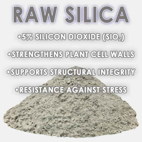 RAW Silica | 45% Silicon Dioxide | pH Neutral Biogenic Silica