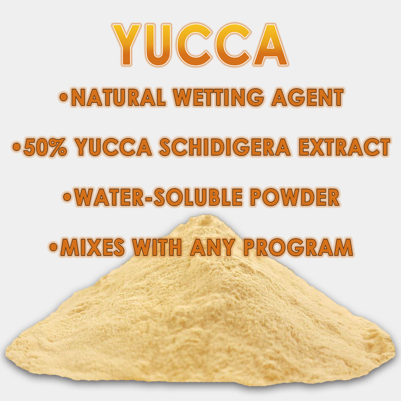 Yucca Oil RAW Yucca | 50% Yucca Schidigera Extract | Natural Wetting Agent ...