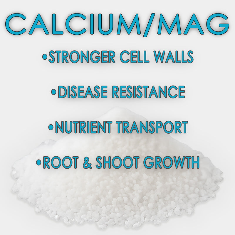RAW Calcium/Mag | 15% Calcium + 3% Magnesium | Water-Soluble Supplement