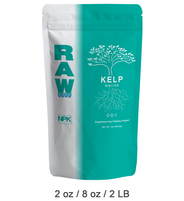 Wholesale: RAW Kelp