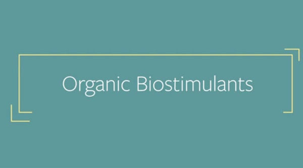 Organic Bio Stimulants - Single Course