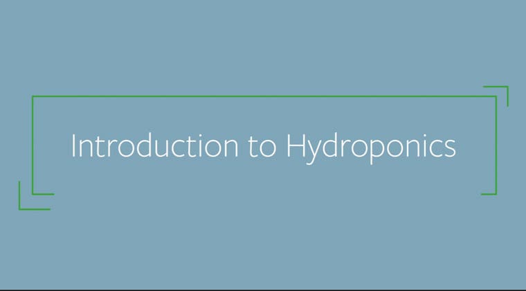 Introduction to Hydroponics (Hydroponic Crop Production) - Single Course