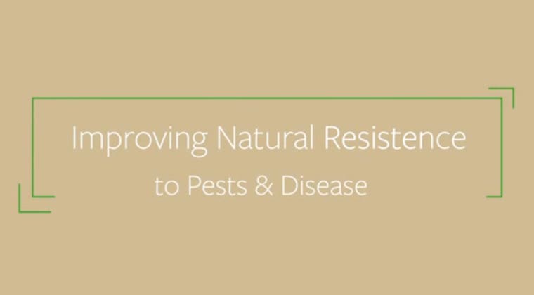 Integrated Pest Management: Improving Natural Resistance to Pest and Disease - Single Course