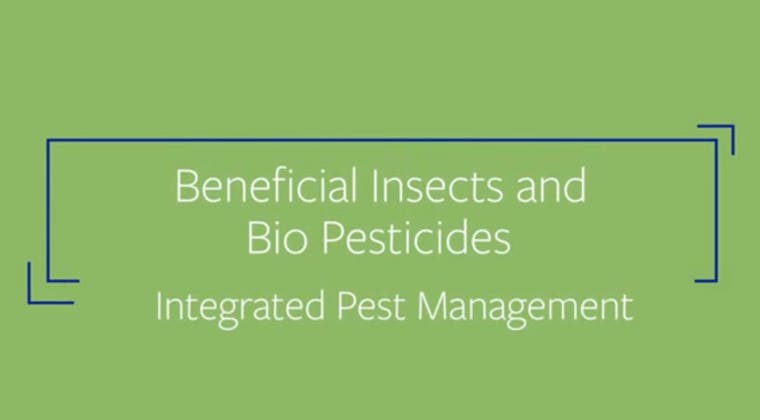 Integrated Pest Management: Beneficial Insects and Bio Pesticides - Single Course