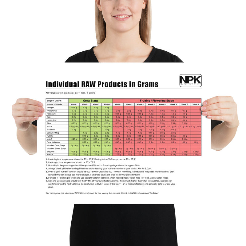 Individual RAW Products in Grams Feeding Chart Poster merchandise.npk