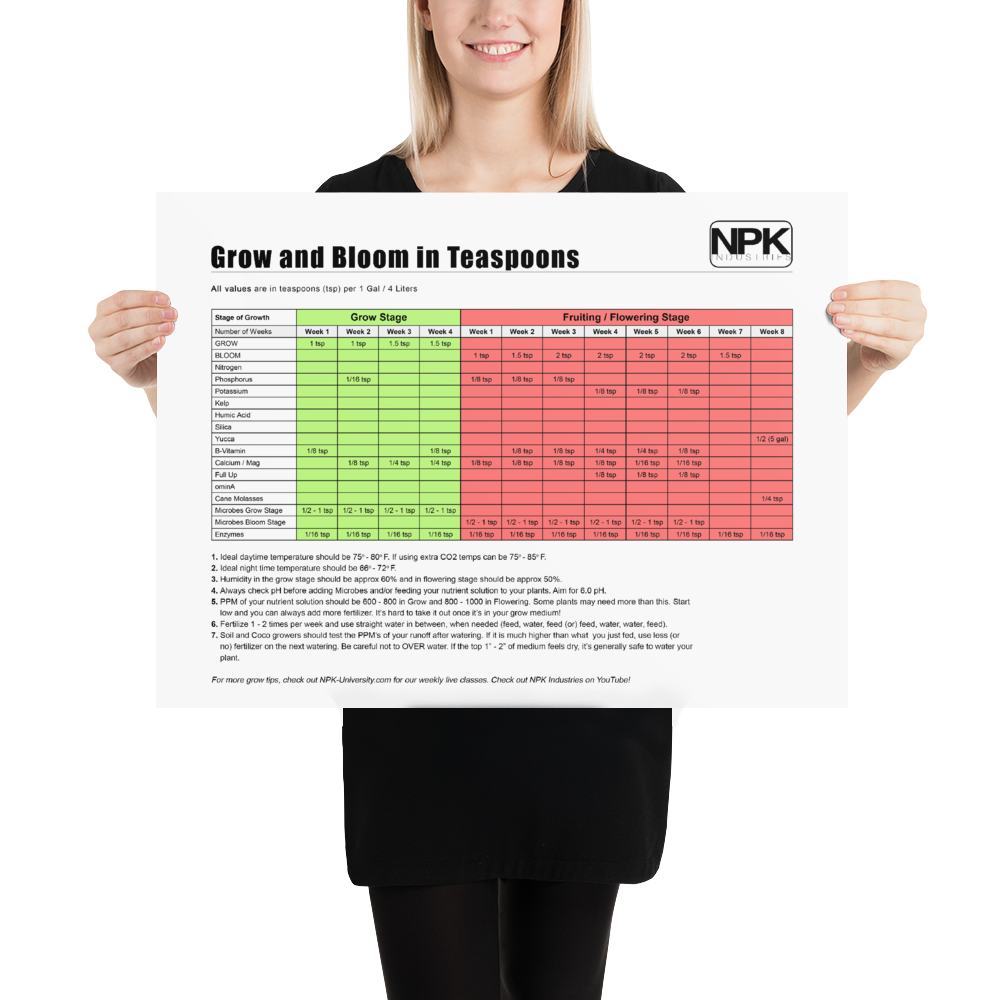 NPK RAW AllInOne Grow & Bloom Products Feeding Chart TSP Poster